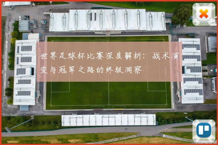 世界足球杯比赛深度解析：战术演变与冠军之路的终极洞察