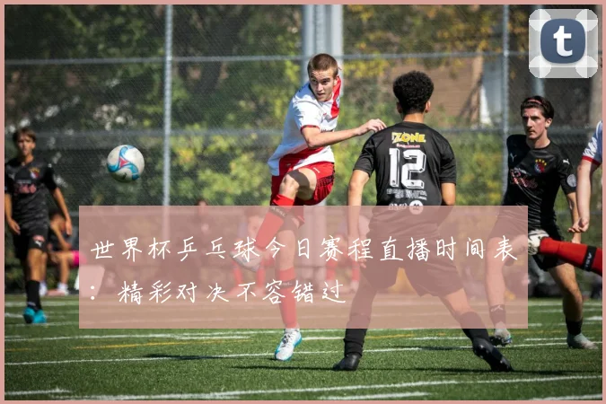世界杯乒乓球今日赛程直播时间表：精彩对决不容错过