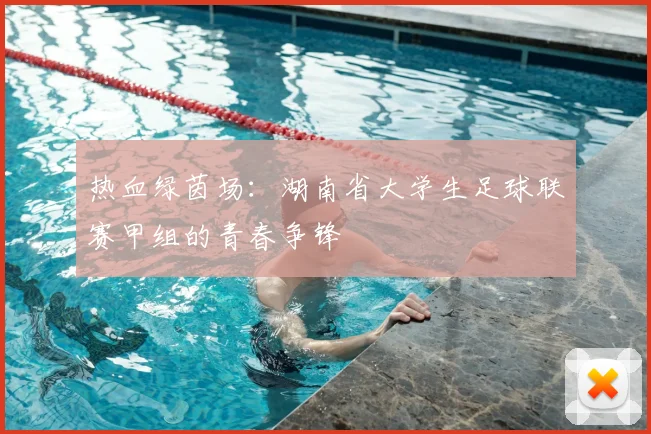 热血绿茵场：湖南省大学生足球联赛甲组的青春争锋